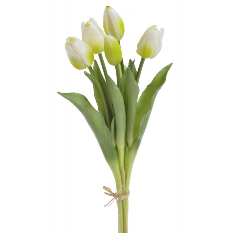 Tulipan gumowy 38cm 5szt/pęczek - szt. roślina