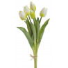 Tulipan gumowy 38cm 5szt/pęczek - szt. roślina