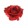 Główka róży wyrobowej 11 cm, paczka/12szt