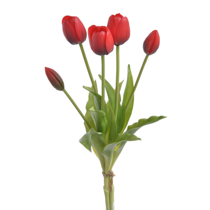 Tulipan x5szt..40cm