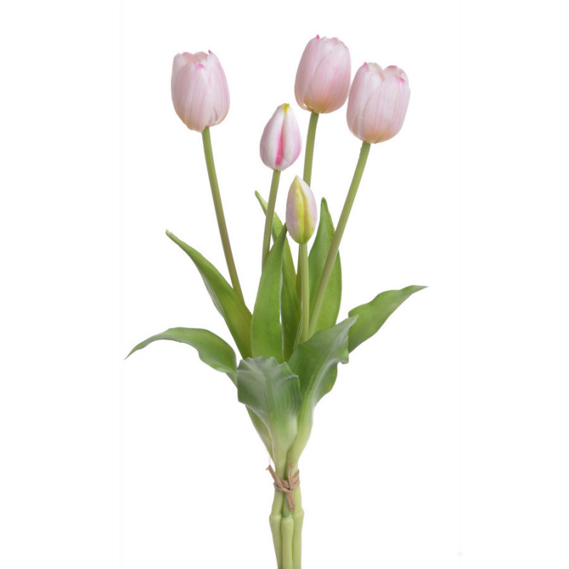 Tulipan x5szt..40cm