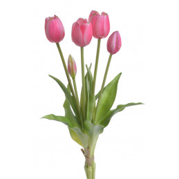 Tulipan x5szt..40cm