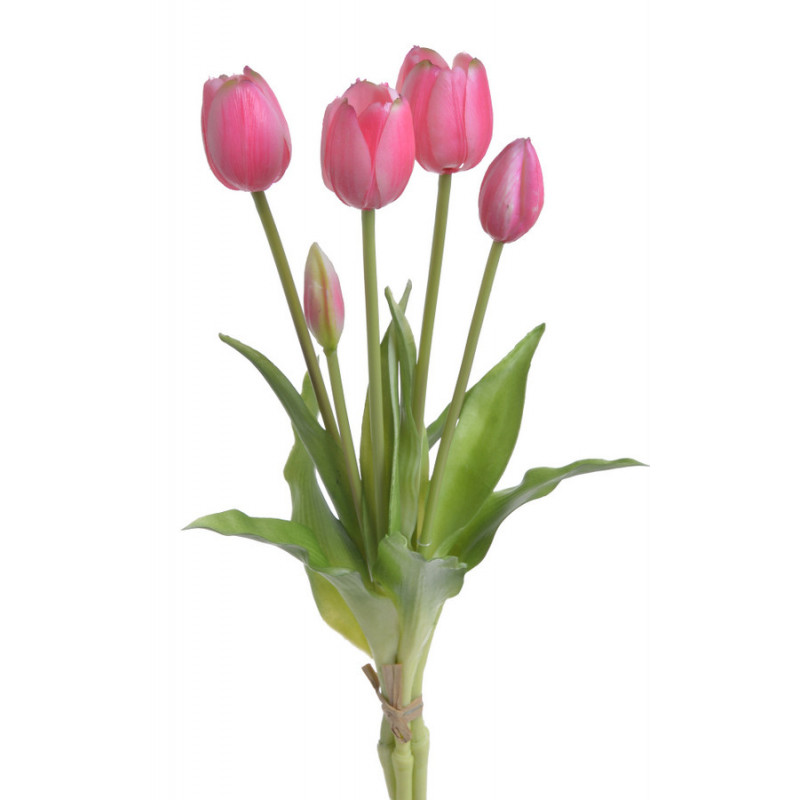 Tulipan x5szt..40cm