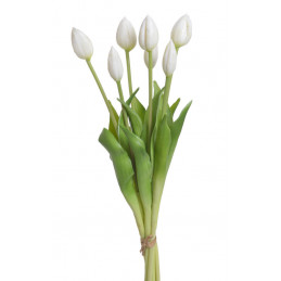 Tulipan x7szt..43cm