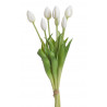 Tulipan x5szt..40cm