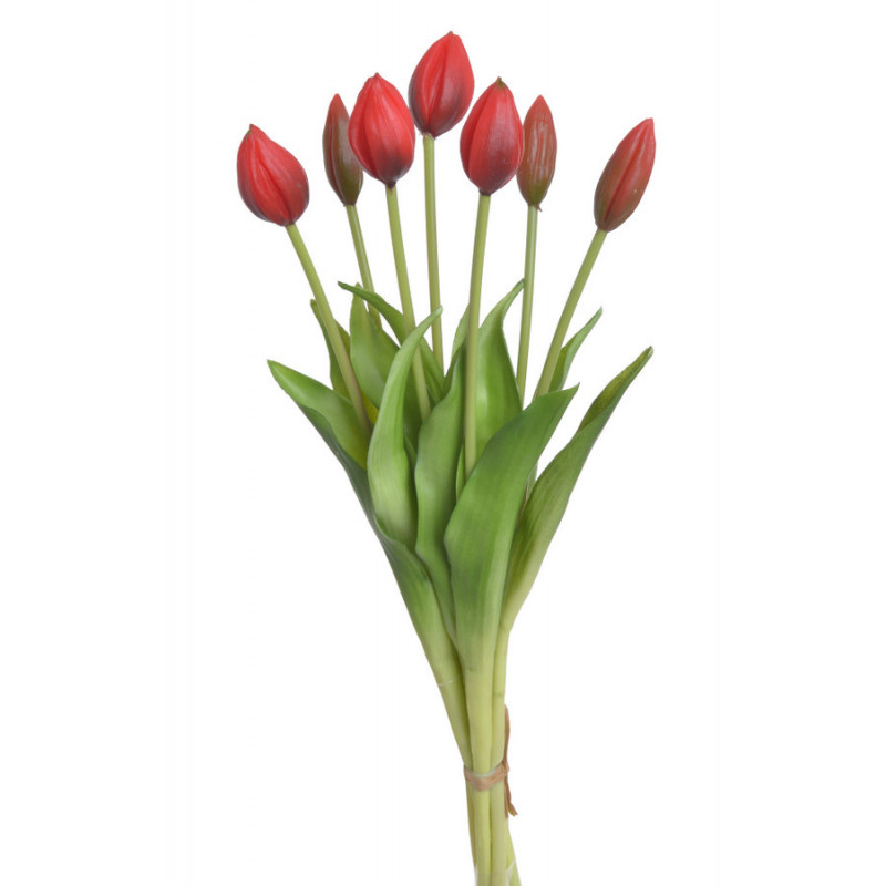 Tulipan x7szt..43cm
