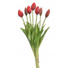 Tulipan x7szt..43cm
