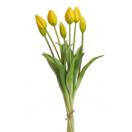 Tulipan x7szt..43cm