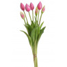 Tulipan x7szt..43cm