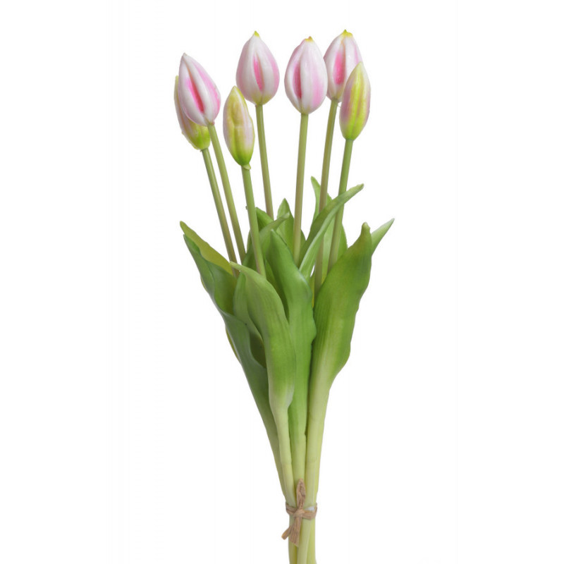 Tulipan x7szt..43cm