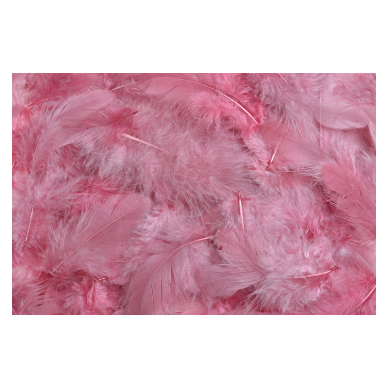 Pierze 10 g - MIX KOLORÓW