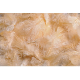 Pierze 10 g - MIX KOLORÓW