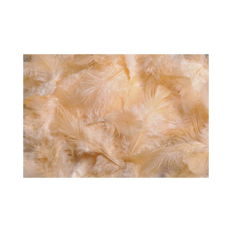 Pierze 10 g - MIX KOLORÓW