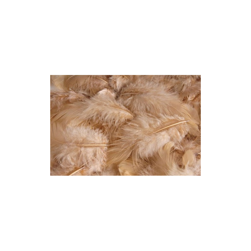 Pierze 10 g - MIX KOLORÓW