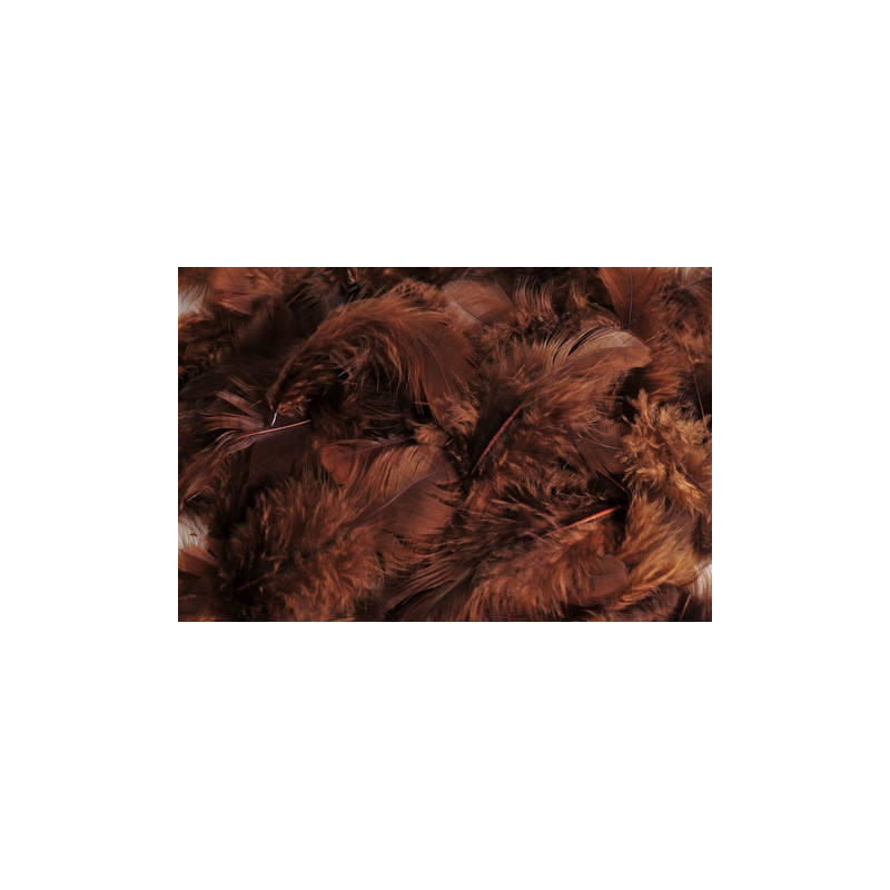 Pierze 10 g - MIX KOLORÓW