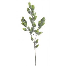 Gałązka chmielu...76cm