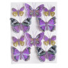 Motylki na klipie 8szt..6,5-7,5cm