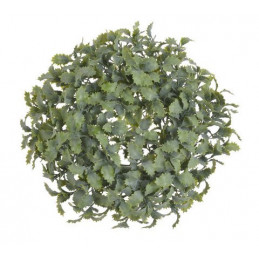 Wianek ostrokrzew średni 34 cm