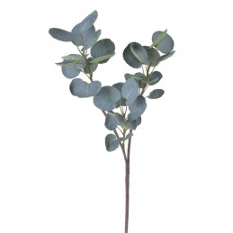 Gałązka eukaliptusa..94cm