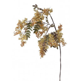 Robinia akacjowa..120cm - sztuczna roślina
