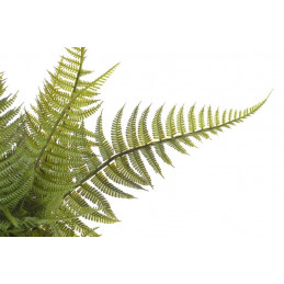Paproć..45cm - sztuczna roślina
