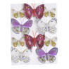 Motylki na klipie 10szt..4,5-7,5cm