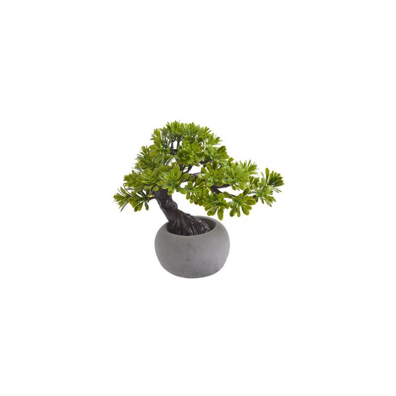 Bonsai w doniczce..23cm