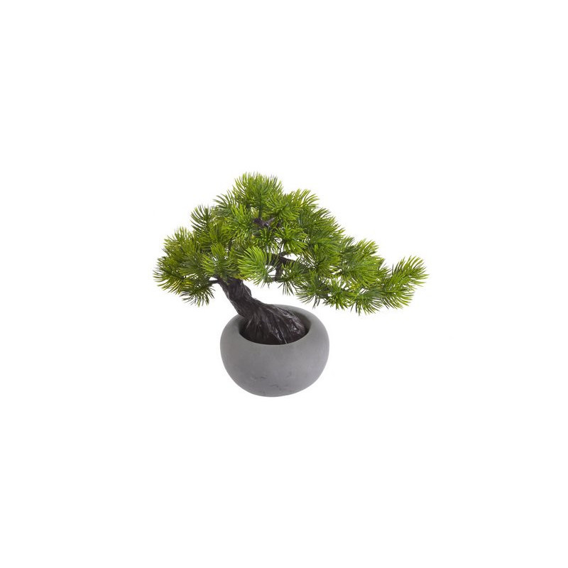 Bonsai w doniczce..23cm