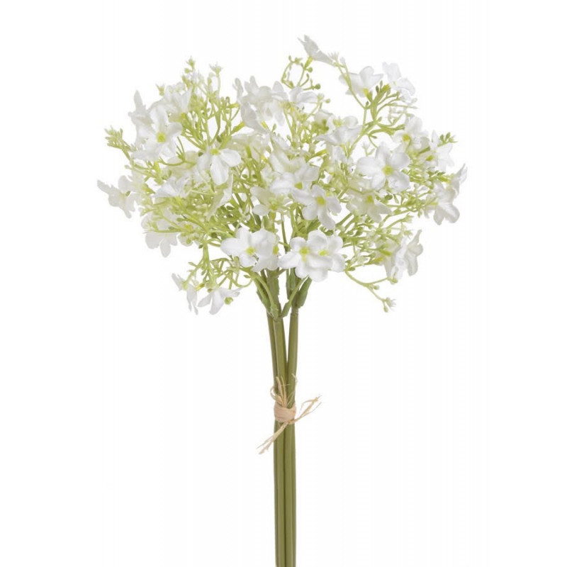 Pieęciornik krzewiasty 5szt/pęczek..30cm