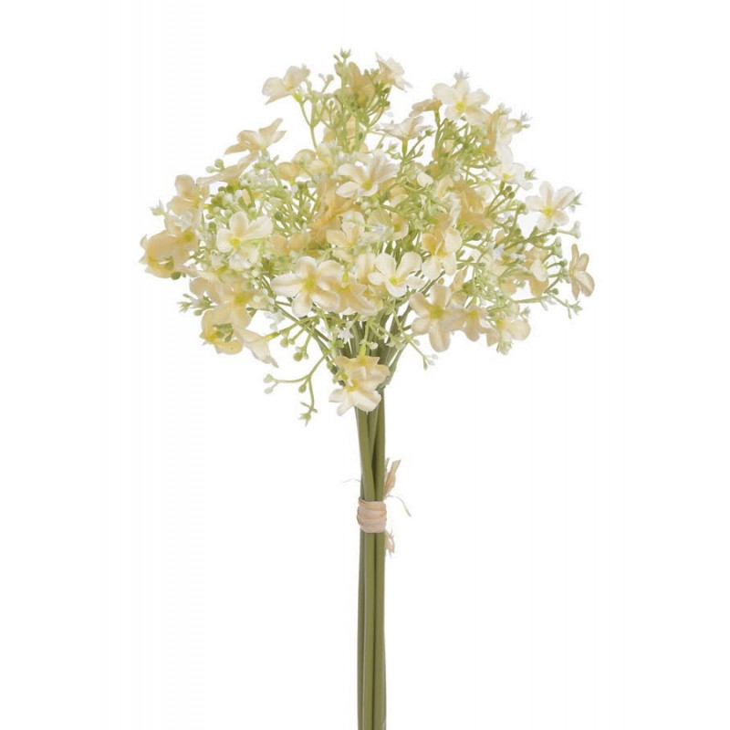 Pieęciornik krzewiasty 5szt/pęczek..30cm