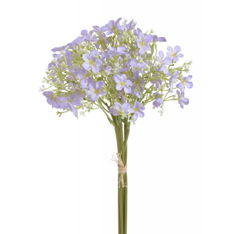 Pieęciornik krzewiasty 5szt/pęczek..30cm