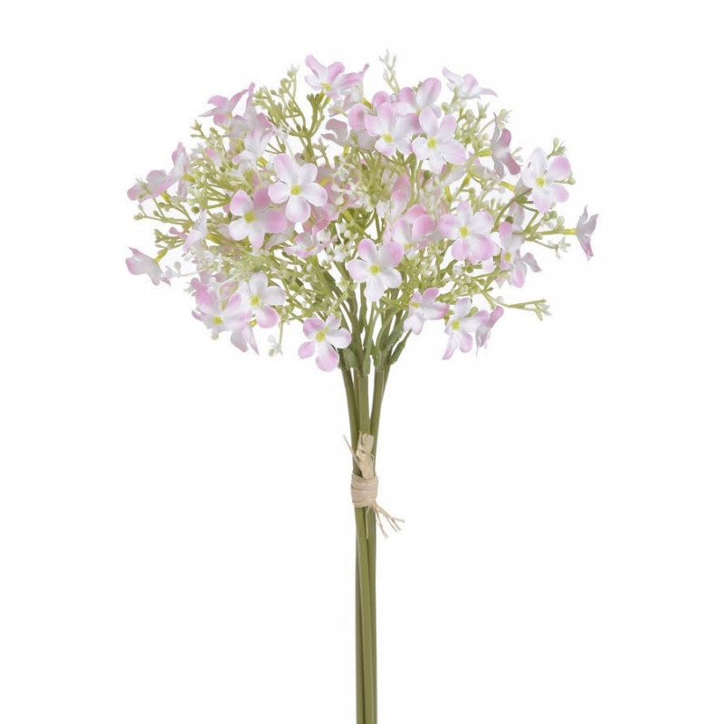 Pieęciornik krzewiasty 5szt/pęczek..30cm