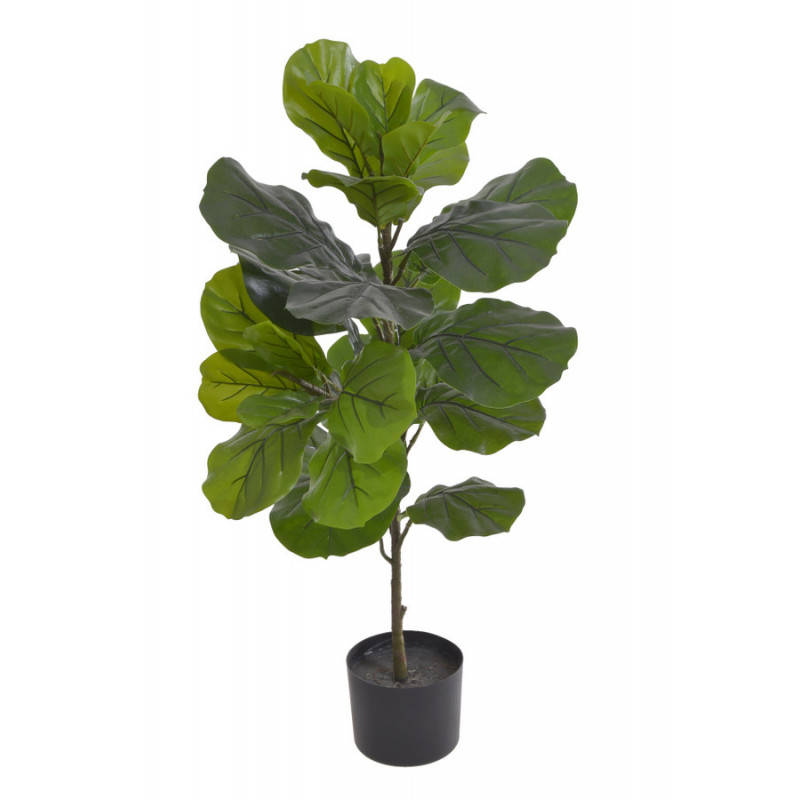 Drzewo tropikalne w doniczce..90 cm