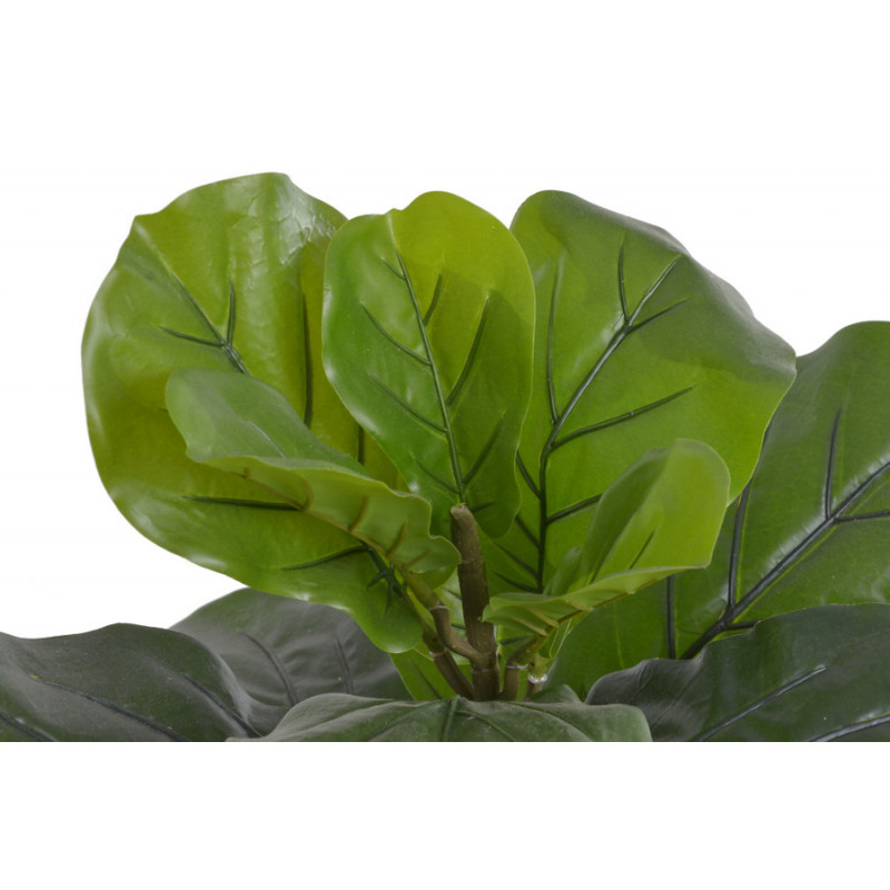 Drzewo tropikalne w doniczce..90 cm