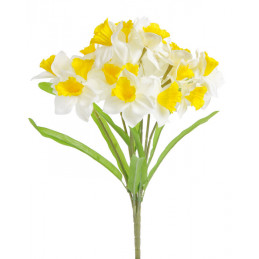 Bukiet żonkili x 21 40 cm MIX KOLORÓW