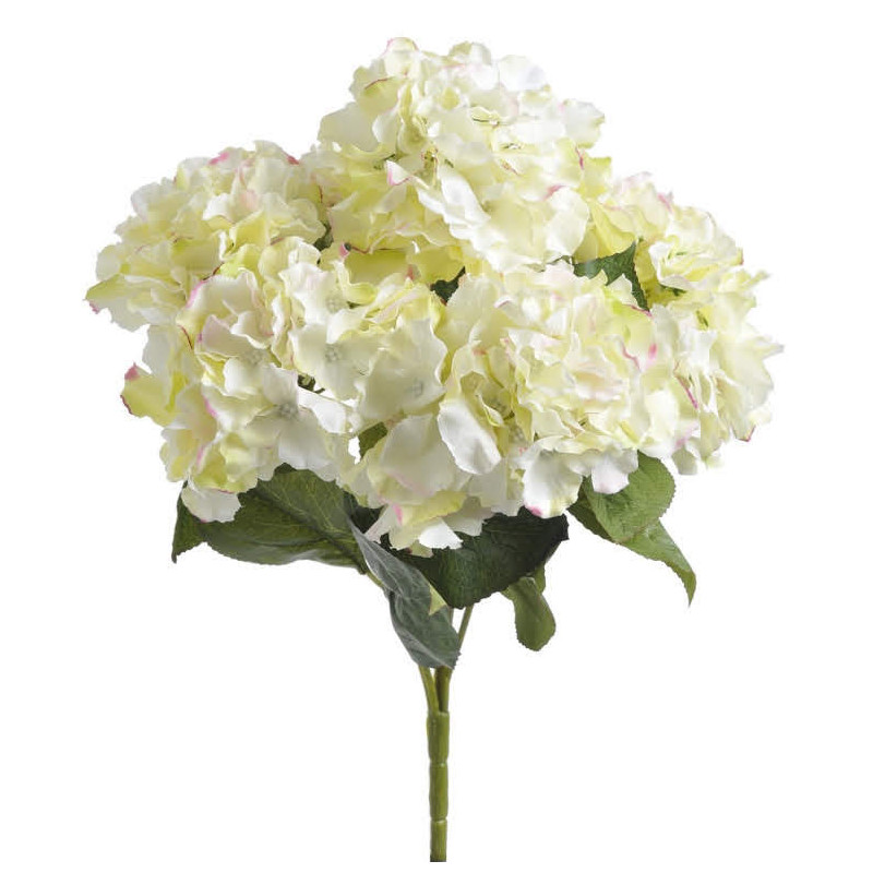 Hortensja bukiet x 5...48 cm