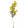 Mimoza gałązka..75cm
