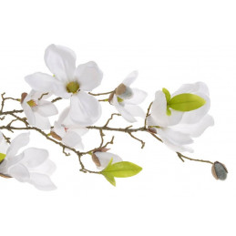Magnolia girlanda..200cm