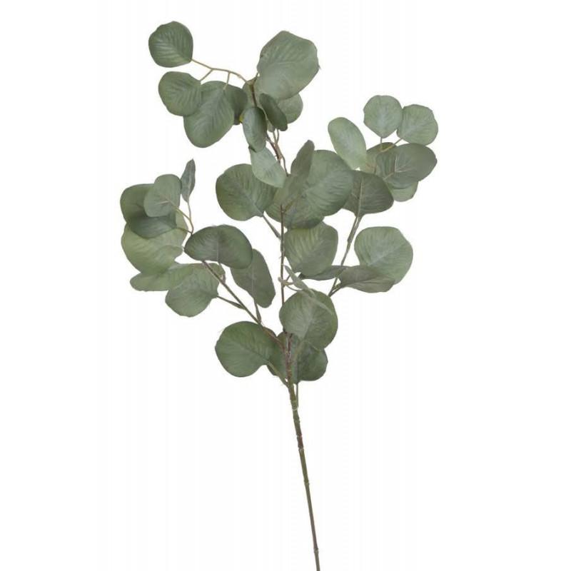 Eukaliptus gałązka..78cm