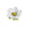 Anemon główka 12szt/paczka..7 cm - sztuczna roślina
