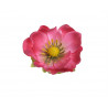 Anemon główka 12szt/paczka..7 cm - sztuczna roślina
