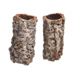 Casca Oca 9x20 -susz - kora