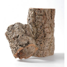 Casca Oca 9x20 -susz - kora