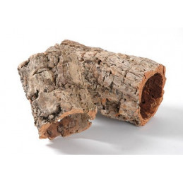 Casca Oca 9x20 -susz - kora