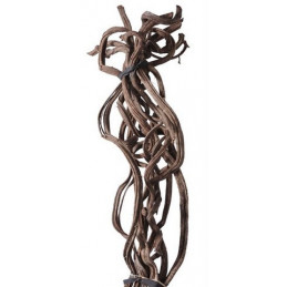 Cipo rosca medium 4-5x2m LIANA