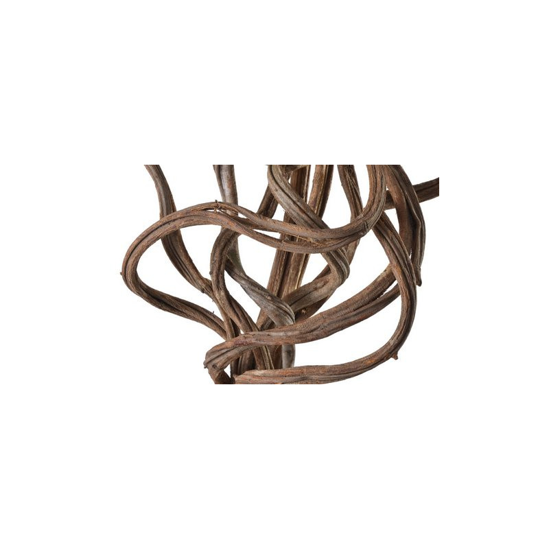 Cipo rosca small 2-3 x 2m LIANA - susz