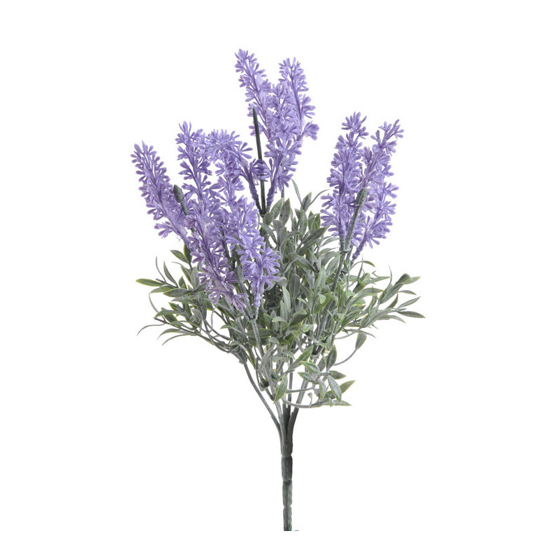 Lawenda bukiecik x 14..30 cm