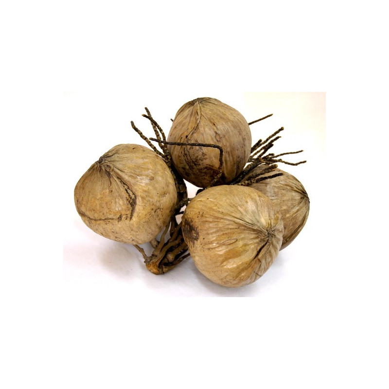 Kokos naturalny - SUSZ