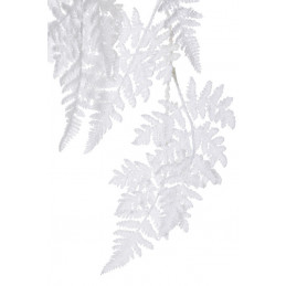 Paproć wisząca ośnieżona..100cm