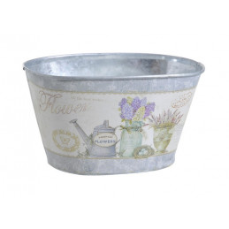 Osłonka owalna hiacyntowa